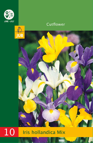 LOW BUDGET IRIS HOLLANDICA MIX - 10 ks