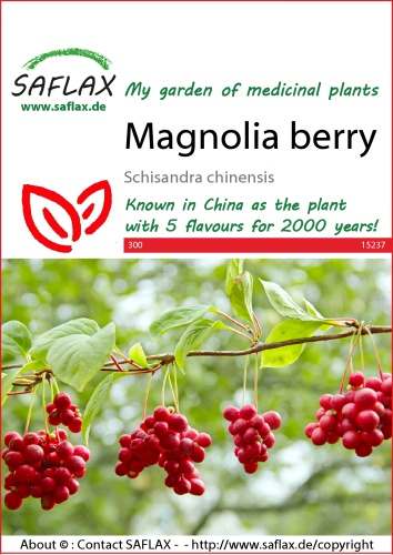 Klanopraška čínska Wu-Wei-Zi