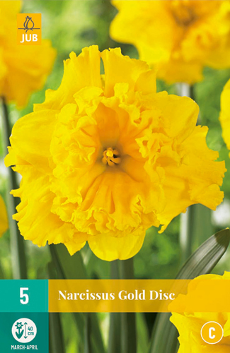 Narcis GOLD DISC 5 ks 