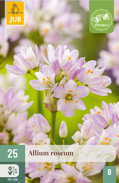 ALLIUM ROSEUM - 25 ks