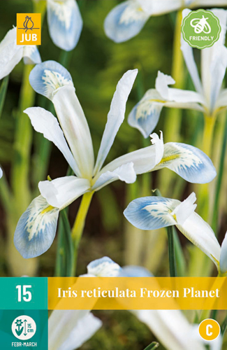 Rôzne Cibuloviny IRIS FROZEN PLANET 15 ks 