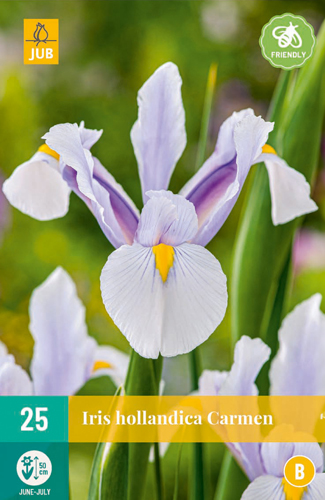 IRIS CARMEN 25 ks 