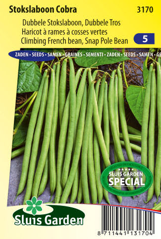 strukova fazula semena zeleniny kvetov bylinky sadit pestovat rajcin paprika uhoriek bazalka