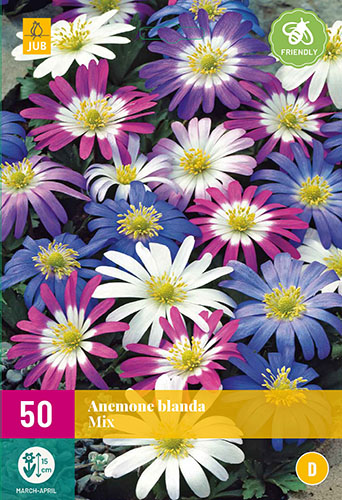  ANEMONE BLANDA MIX 50 ks 