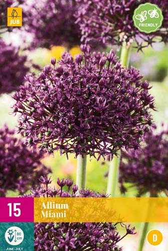 cibule kvetov, cibuloviny, Okrasný Cesnak