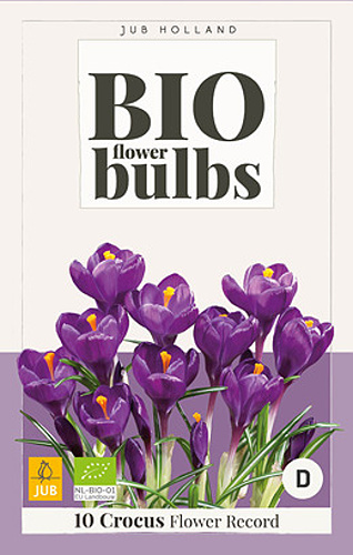 Krokus FLOWER RECORD - 10 ks