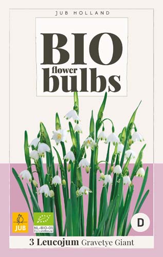  LEUCOJUM GRAVETYE GIANT - BIO 3 ks 