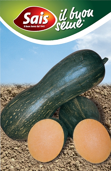 Tekvica Lunga Piena di Napoli