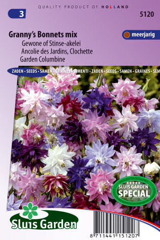 Aquilegia vulgaris ±40 semien