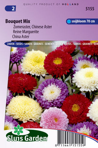 Callistephus chinensis Bouquet Mix 0,6g