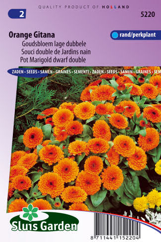 Calendula officinalis Orange Gitana 0,6g