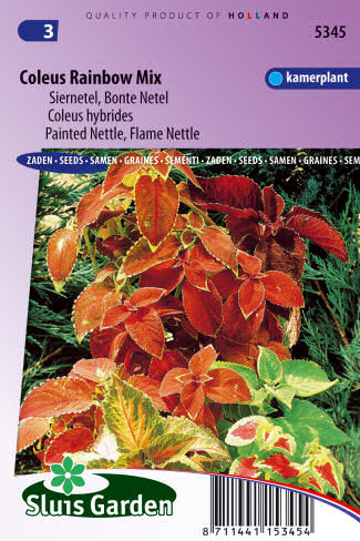 Coleus blumei Rainbow Mix 0,1g