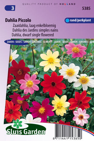 Dahlia variabilis jednoduchá Mix 0,5g
