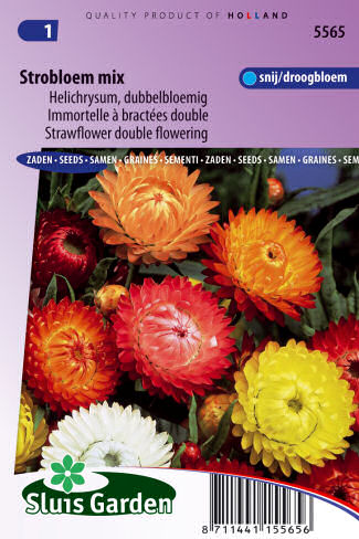 Helichrysum bracteatum monstrosum Mix 0,3g