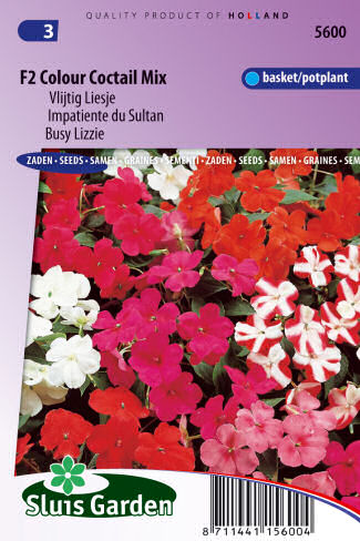 Impatiens walleriana Busy Lizzie F2 Colour Cocktail cca. 100 semien