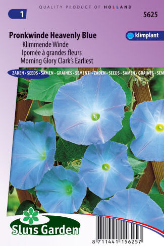 Ipomoea tricolor Morning glory Clark's earliest Heaenly Blue 2,5g