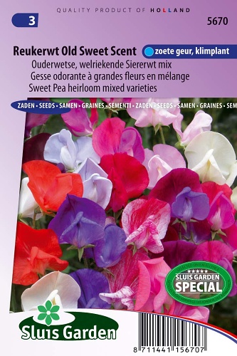 Lathyrus odoratus Old Sweet Scent, Hrachor voňavý 2,5 g