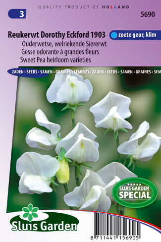 Lathyrus odoratus grandiflorus Dorothy Eckford 1903 2,5g