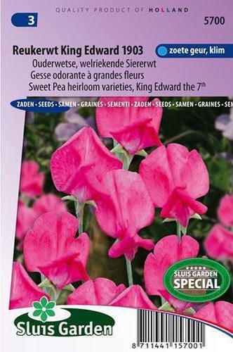 Lathyrus odoratus grandiflorus King Edward, Hrachor veľkokvetý 2,5g cca 30 semien