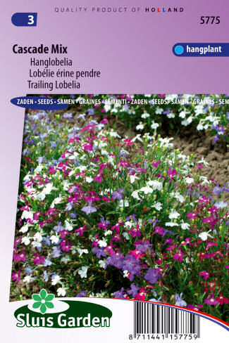 Lobelia erinus pendula Cascade Mix 0,25g