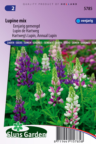 Lupinus hartwegii Zmes cca 1,5 g semien