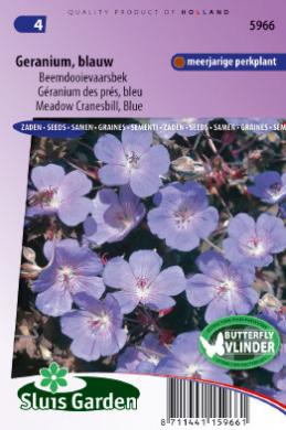 Geranium pratense, Cranesbill Blue cca. 17 semien