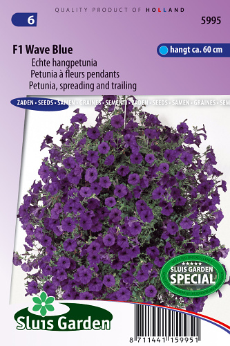 Petunia x hybrida hedgiflora, previslá modrá Wave Bule F1 cca 15 semien