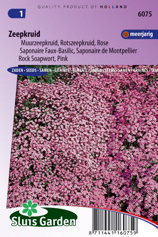 Saponaria ocymoides Ružová 0,3g