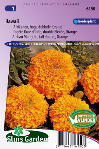 Tagetes erecta Hawaii 0,5 g cca 150 semien
