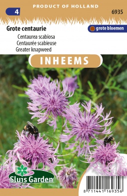 Nevädza hlaváčovitá, Centaurea scabiosa cca. 0,5 g cca. 75 semien