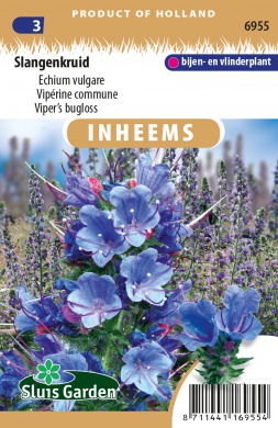 Hadinec obyčajný, Echium vulgare cca. 0,5 g cca. 150 semien