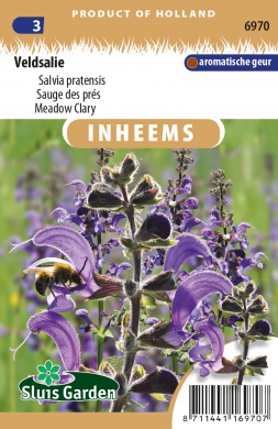 Šalvia lúčna, Salvia pratensis cca. 0,5 g cca. 250 semien