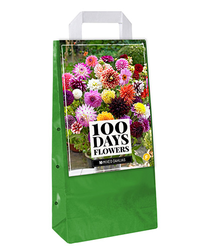 VRECKO 10 DÁLIA MIX 10 kusov