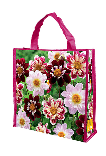 NÁKUPNÁ TAŠKA 5 DÁLIA FAVOURITE BALLET 5 kusov