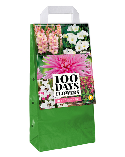 TAŠKA Cibuľky / hľuzy BULB GARDEN PINK - 125 ks