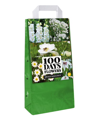 TAŠKA Cibuľky / hľuzy BULB GARDEN WHITE - 125 ks