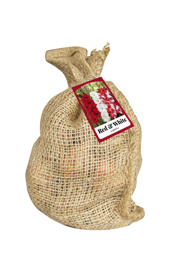 Jutové vrecko GLADIOLUS & WHITE počet kusov: 30