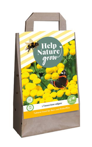 Taška TANACETUM VULGARE počet kusov: 3