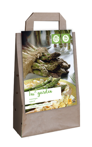 Taška ŠPARGĽA ASPARAGUS GIJNLIM počet kusov: 4