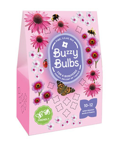 TAŠKA BUZZY Cibuľky / hľuzy  PINK-LILAC MIX - 5 ks