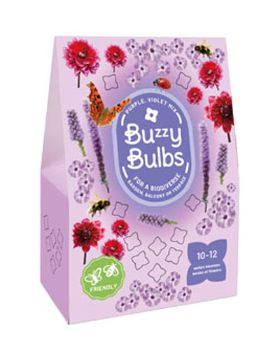 TAŠKA BUZZY Cibuľky / hľuzy PURPLE-VIOLET MIX - 10 ks