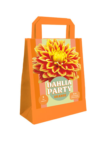 TAŠKA DÁLIA (GEORGÍNA) PARTY ORANGE - 2 ks