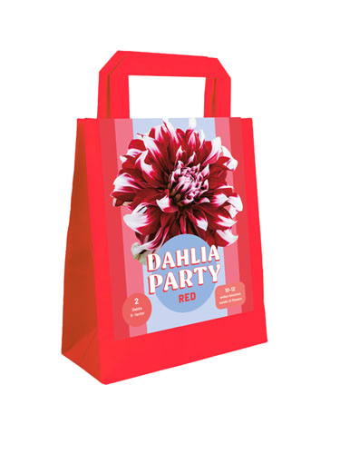 TAŠKA DÁLIA (GEORGÍNA) PARTY RED - 2 ks