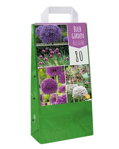 TAŠKA 125 Cibúl ALLIUM 80 ks 