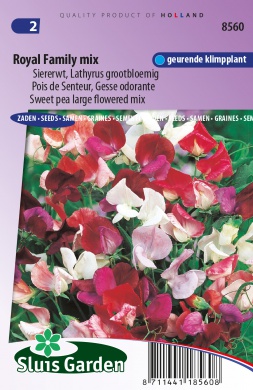 Lathyrus odoratus, Hrachor voňavý  zmes Royal family 3 g cca 30 semien 