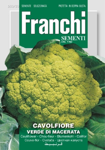 Karfiól zelený Cavolfiore Romanesco Precoce 30/51 cca 4 g