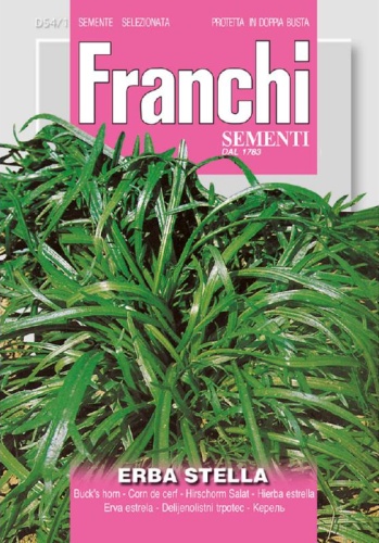 Skorocel minutina Plantago coronopus L. - cca 1,5 g