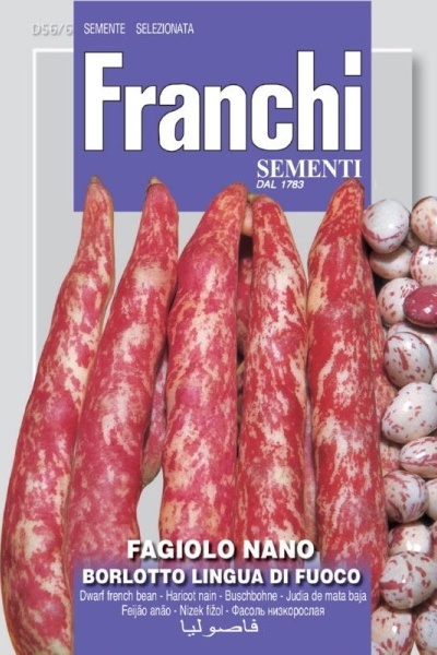 Strakatá fazula krícková Borlotto 50 g semien