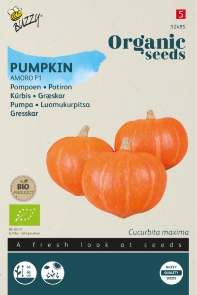 Tekvica Amoro F1 BIO cca 6 semien