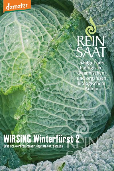 BIO semená Kel Winterfürst 2 cca 60 semien